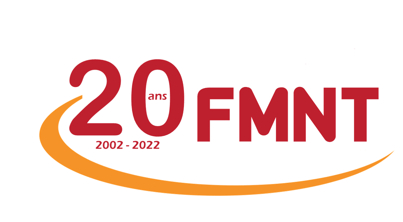 Logo 20 ans FMNT